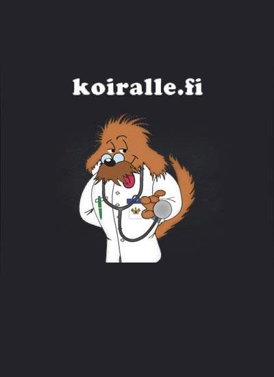 koiralle case-study